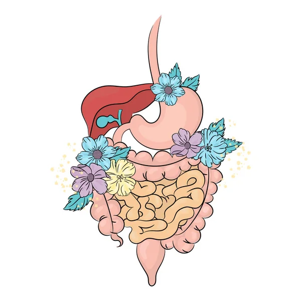 Gastrointestinal Care Medicina Salute Umana Stile Vita Holiday Floral Vector — Vettoriale Stock