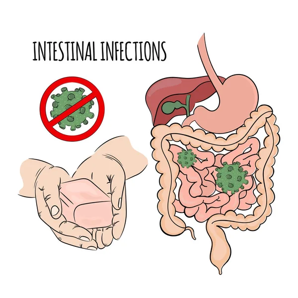 Intestinal Infections Prevention Soap Hands Coronavirus Covid Health Human Epidemic — Stock Vector