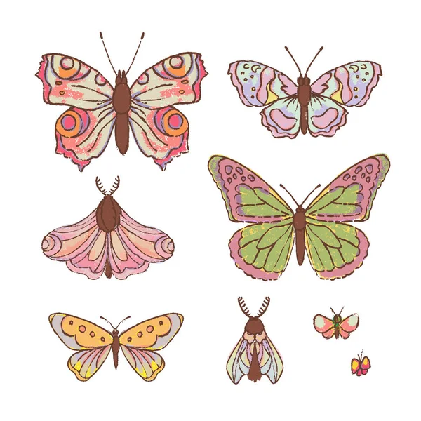 Hand Drawn Butterfly Aranyos Rajzfilm Trópusi Rovar Vektor Illusztráció Készlet — Stock Vector