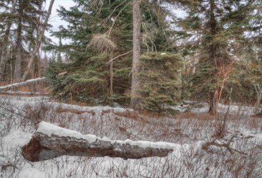 Tettegouche State Park üzerinde North Shore, Superior gölünün içinde Mi