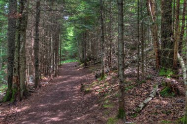 Tettegouche State Park üzerinde North Shore, Superior gölünün içinde Mi