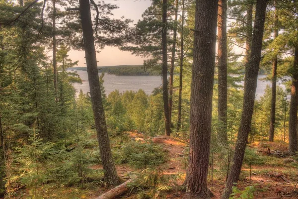 Voyageurs National Park nel Minnesota settentrionale durante l'estate — Foto Stock