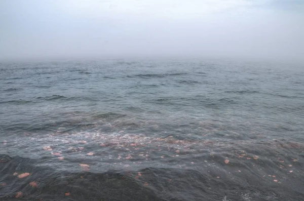 Η μαύρη παραλία είναι σχετικά με την βόρεια ακτή της Lake Superior από ασήμι — Φωτογραφία Αρχείου