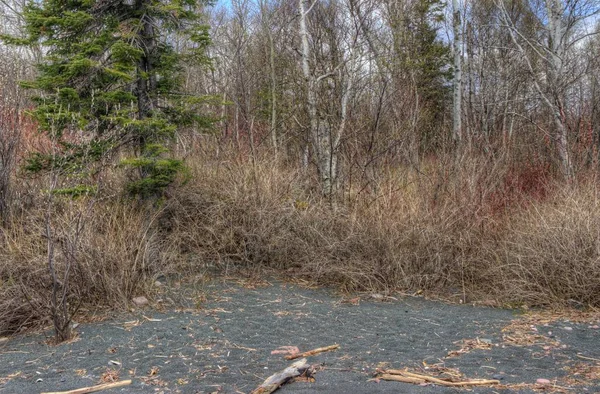 Black Beach est sur la rive nord du lac Supérieur par Silver — Photo