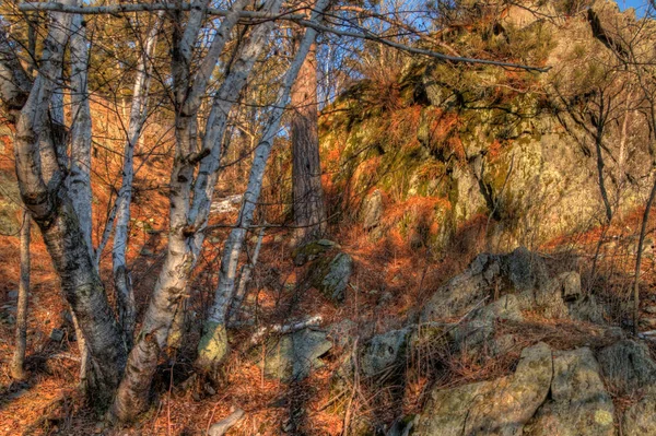 Jay Cooke State Park ligger vid floden St. Louis söder om Duluth i Minnesota — Stockfoto