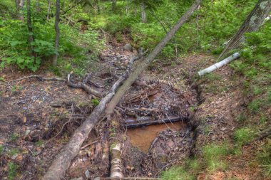 Jay Cooke Devlet Park St. Louis Nehrin güneyinde Minnesota Duluth istiyor