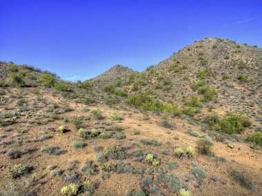 Kışın Arizona Çölü