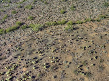 Kışın Arizona Çölü