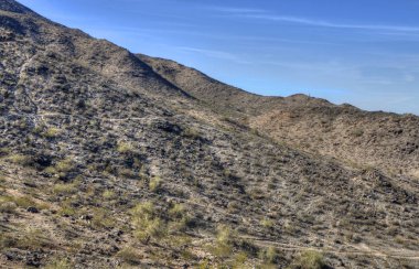 Kışın Arizona Çölü