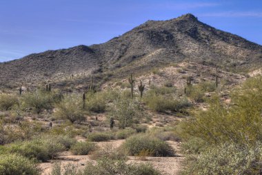 Kışın Arizona Çölü