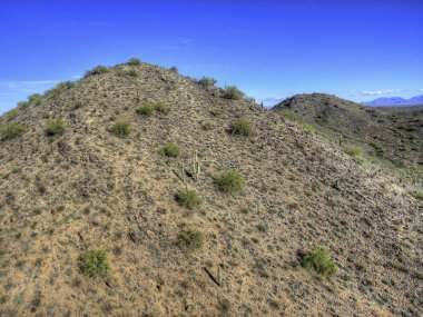 Kışın Arizona Çölü