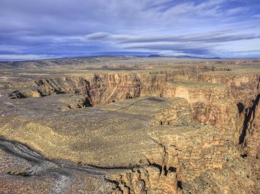 Kışın Arizona Çölü