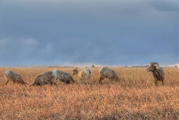 Badlands National Park, Dakota do Sul — Fotografia de Stock