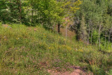 Jay Cooke Devlet Park St. Louis Nehrin güneyinde Duluth ben istiyor