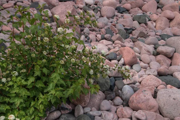 Agate Beach est sur la rive du lac Supérieur à Silver Bay, Minn — Photo