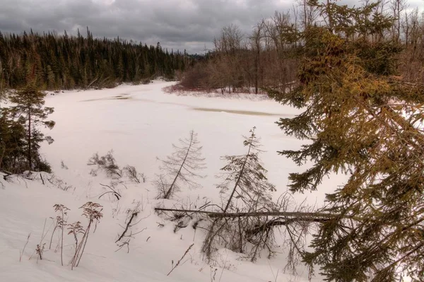 Winter in Pigeon River Provincial Park in Noord-Ontario door Th — Stockfoto