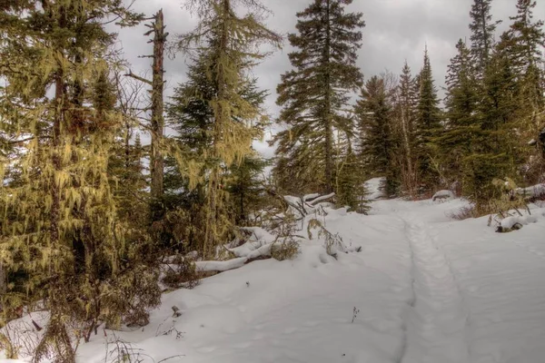 Inverno em Pigeon River Parque Provincial no norte de Ontário por Th — Fotografia de Stock