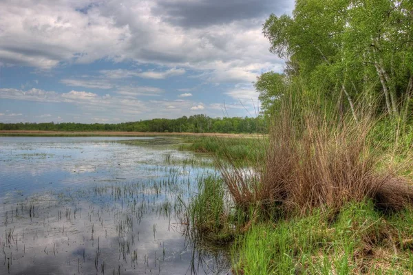 Summer in Schoolcraft State Park located in Northern Minnesota — Stock Photo, Image