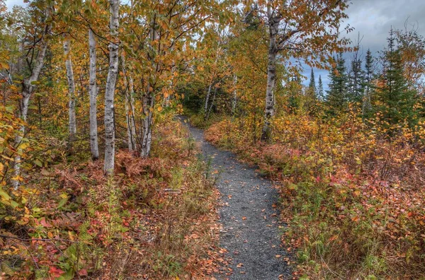 The Plants in Silver Bay, Minnesota on the Shores of Lake Superi — Stock Photo, Image