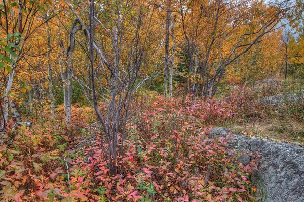 The Plants in Silver Bay, Minnesota on the Shores of Lake Superi — Stock Photo, Image