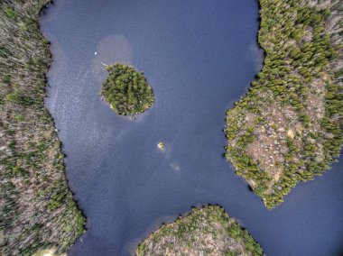 Ayı kafası State Park Kuzey Minnesota'da