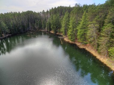 Ayı kafası State Park Kuzey Minnesota'da
