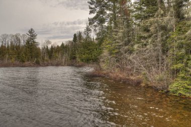 Ayı kafası State Park Kuzey Minnesota'da