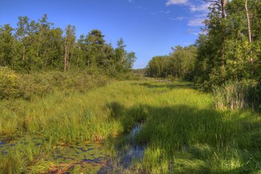 Bemidji State Park Lake Bemidji üzerinde