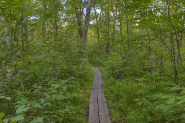 Bemidji State Park Lake Bemidji üzerinde