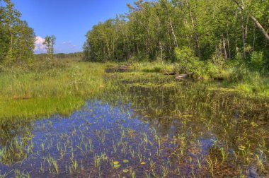 Bemidji State Park Lake Bemidji üzerinde