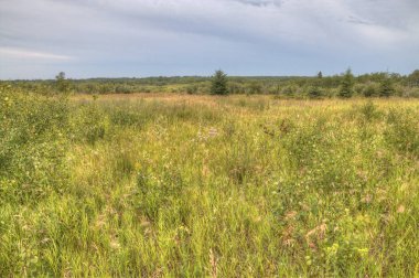 Kuş tepe Provincial Park, Manitoba