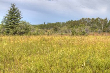Kuş tepe Provincial Park, Manitoba