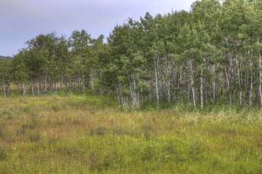 Kuş tepe Provincial Park, Manitoba