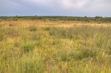 Kuş tepe Provincial Park, Manitoba