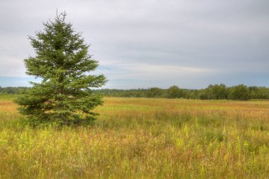 Kuş tepe Provincial Park, Manitoba