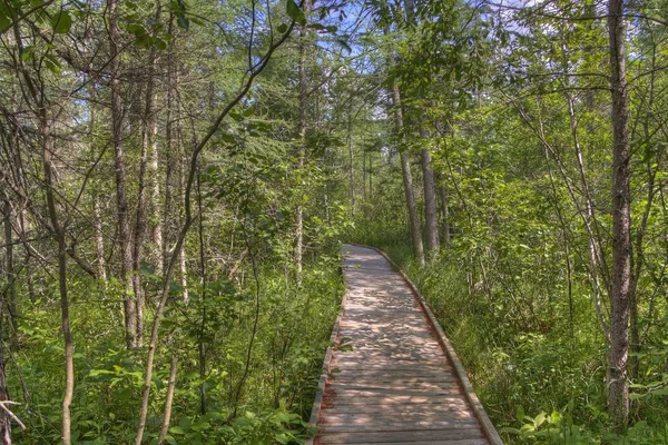 Bemidji State Park di Danau Bemidji — Stok Foto