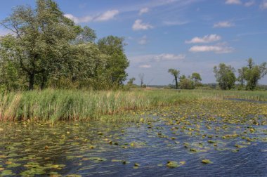 Babası Hennepin Devlet Park Mille Lacs Lake Kuzey içinde yer alır