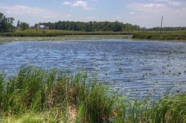 Babası Hennepin Devlet Park Mille Lacs Lake Kuzey içinde yer alır