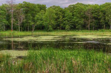 Mille Lacs Kathio Devlet Park Mille Lacs Lake hiçbir yer alır