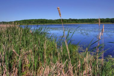 Mille Lacs Kathio Devlet Park Mille Lacs Lake hiçbir yer alır