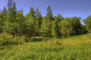 Mille Lacs Kathio Devlet Park Mille Lacs Lake hiçbir yer alır