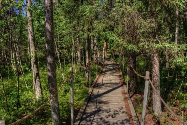 Mille Lacs Kathio Devlet Park Mille Lacs Lake hiçbir yer alır