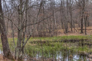 Mille Lacs Kathio Devlet Park Mille Lacs Lake hiçbir yer alır