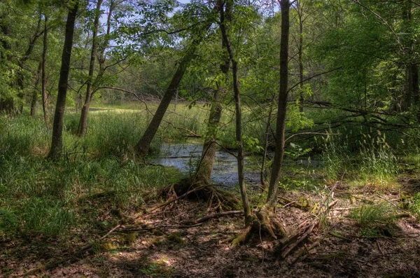 El parque estatal Padre Hennepin se encuentra en el lago Mille Lacs en Nort — Foto de Stock