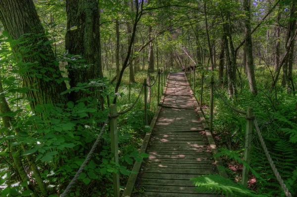 Mille Lacs Kathio State Park terletak di Danau Mille Lacs di No — Stok Foto