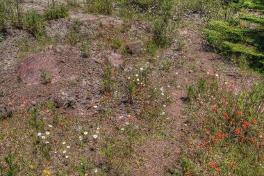 İki limanları olan bir toplum üzerinde North Shore Lake Superior ve ben