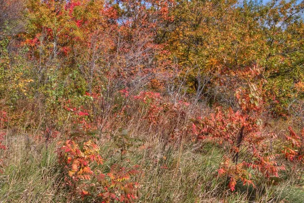 Enger Tower is een toeristische bestemming en een schilderachtig uitzicht in Duluth, — Stockfoto