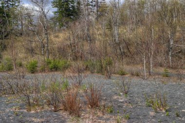 Black Beach üzerinde Kuzey Shore Lake Superior ve gümüş tarafından olduğunu 