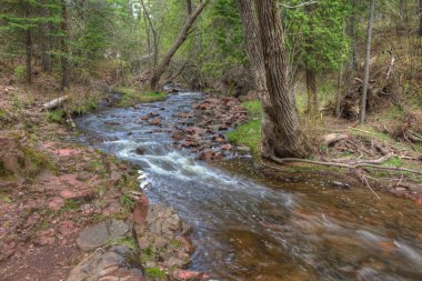 Congdon Park Duluth, Minnesota Güz sırasında