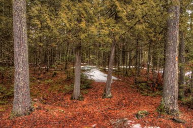 Amnicon State Park, Wisconsin kış aylarında